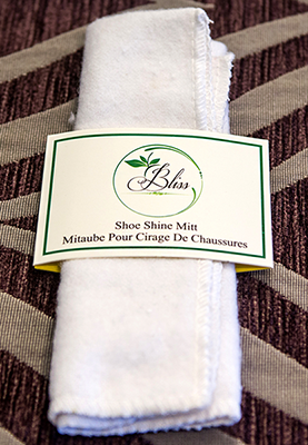 Bliss Shoe Shine Mitt